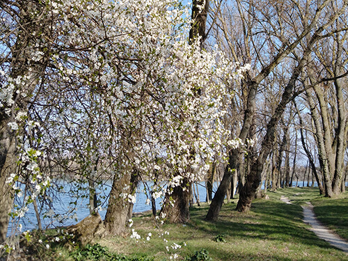 Journée pleine nature sur la Voie bleue