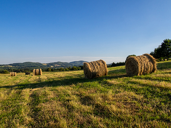 Une agriculture dynamique