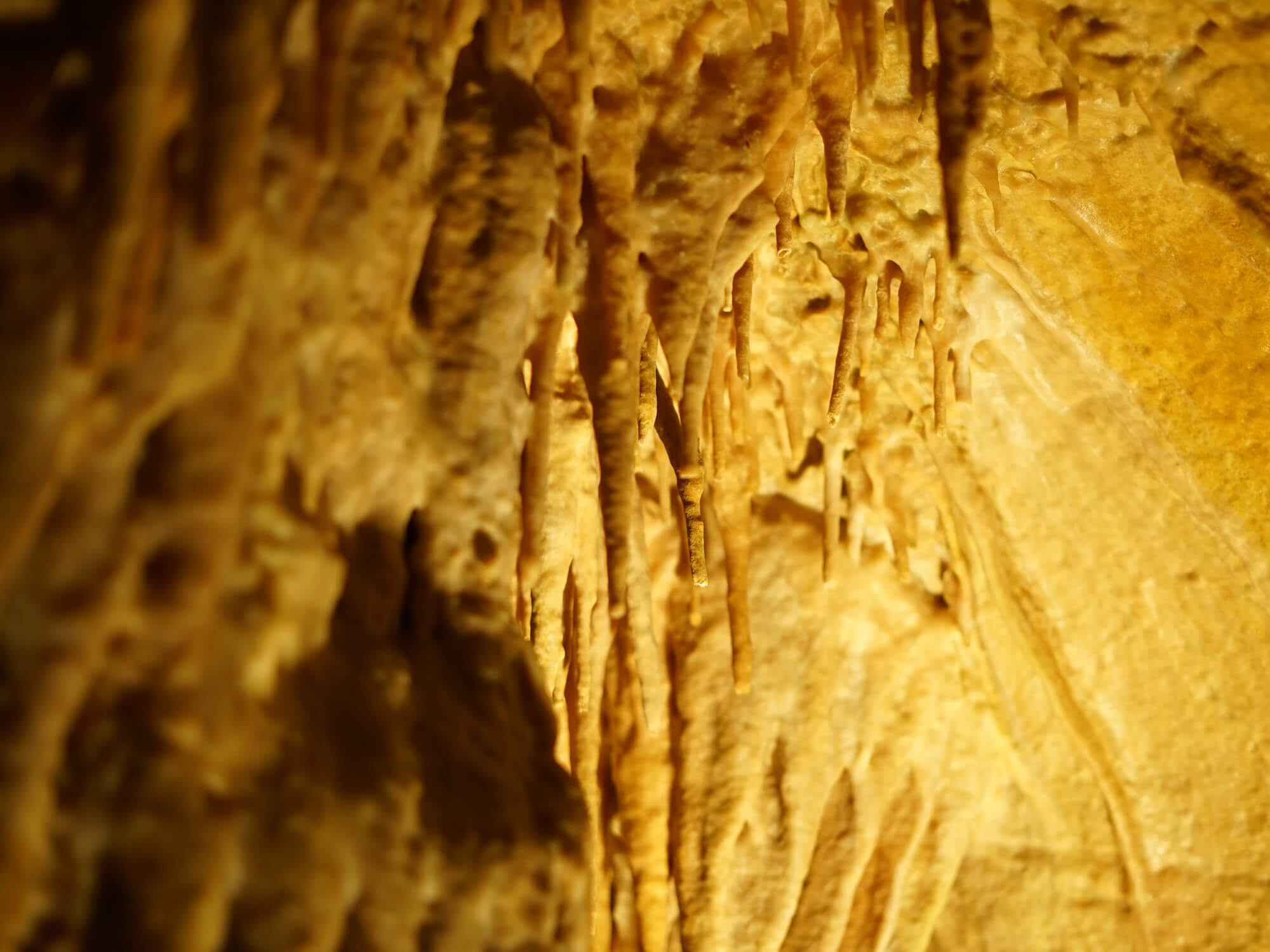 Grottes Rhône-Crussol