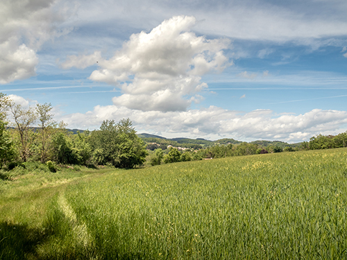 L’entretien des sites naturels Rhone-Crussol