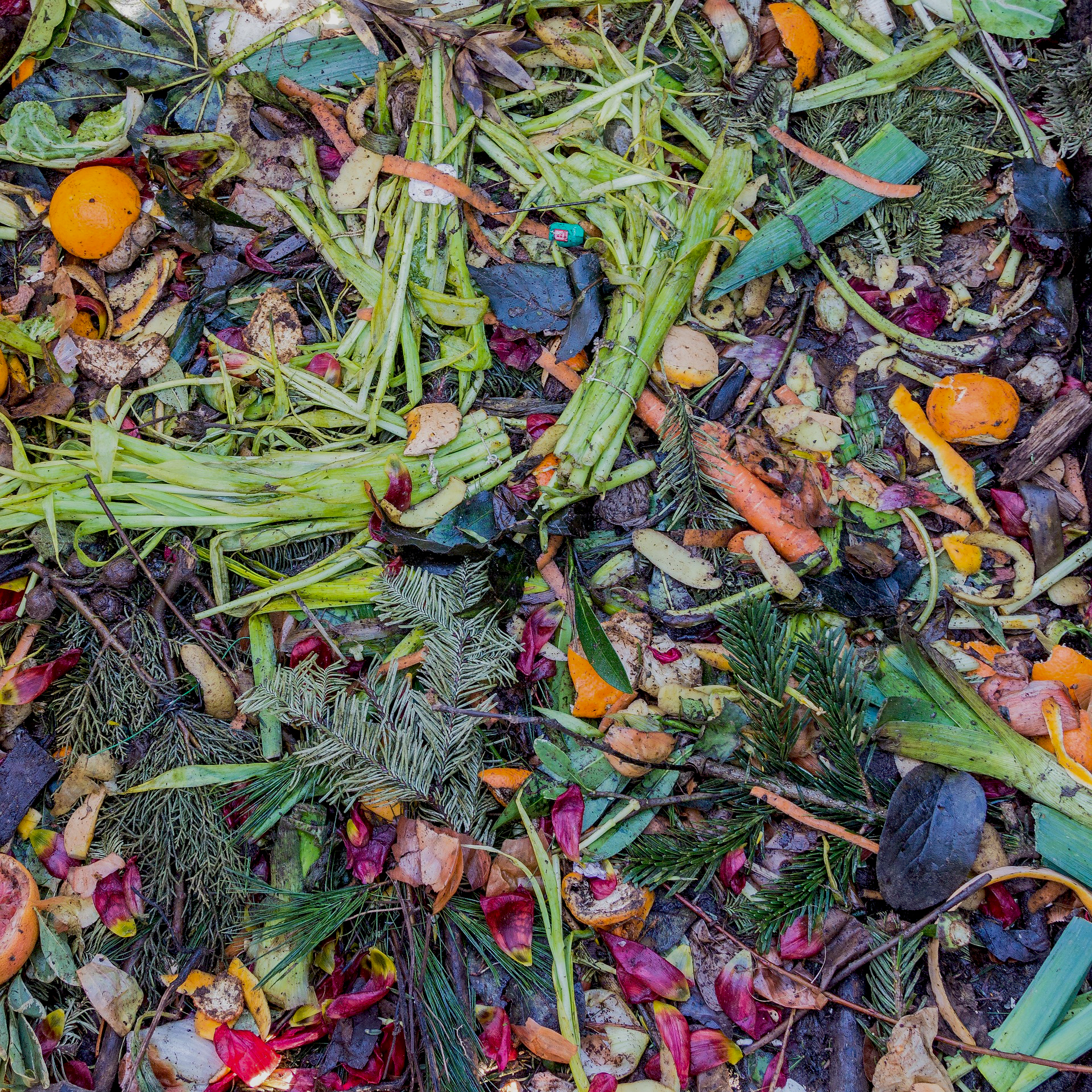 compost-g6a81a0196_1920 Compostage CCRC Rhone Crussol 2