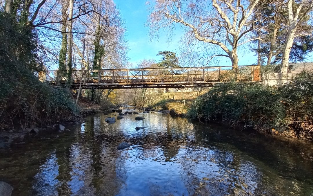 Pont Saint Marcel